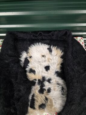Women’s Black Sweater with Dog